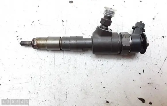 Ford Transit - Tourneo Connect Fuel injector 0445110489 CV6Q9F593AA