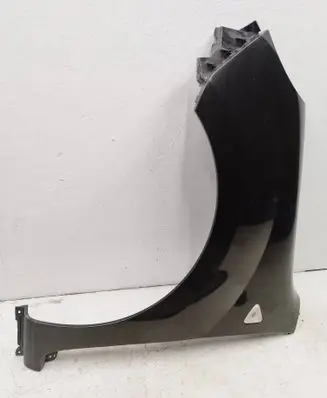 Renault Kangoo II Fender
