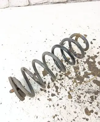Volkswagen PASSAT B7 Rear coil spring
