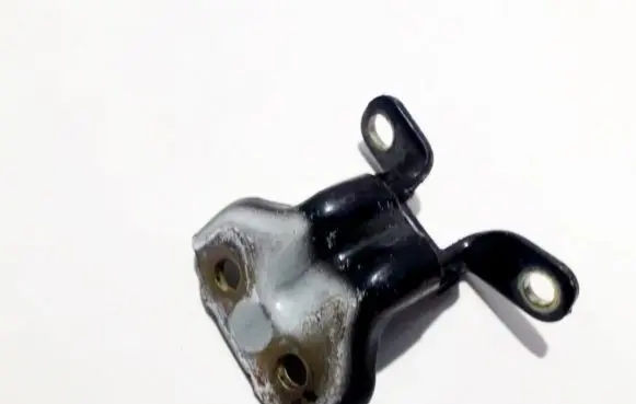 KIA Sorento Rear door lower hinge