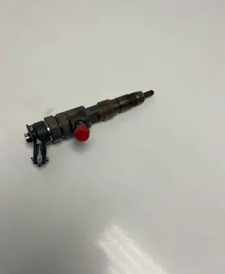 Citroen Berlingo Fuel injector 0445110566