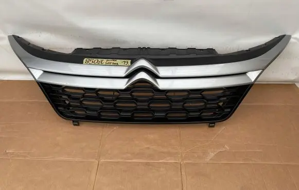 Citroen C3 Front bumper upper radiator grill 1315804070