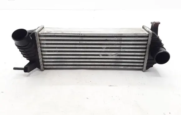 Renault Kangoo II Intercooler radiator 8200427469
