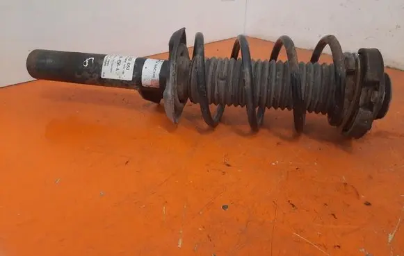 Skoda Octavia Mk2 (1Z) Front shock absorber with coil spring 824904004793