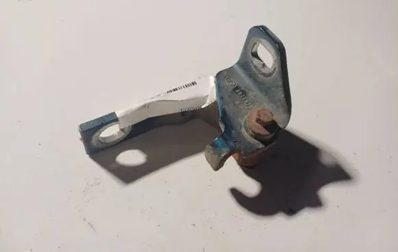 Rear door lower hinge