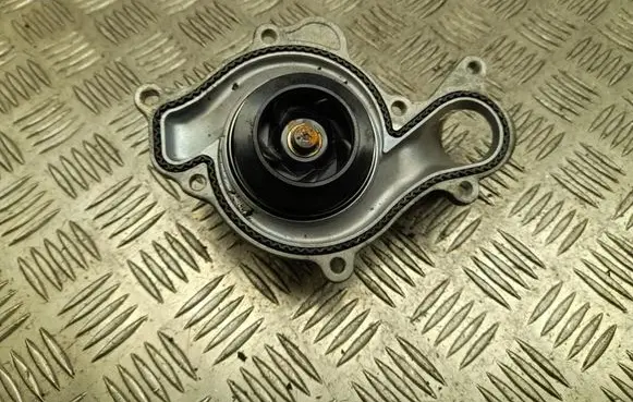 Porsche Macan (95B) Water pump 06M121013
