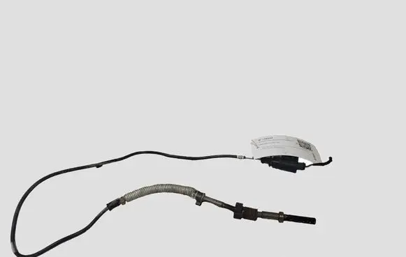 Seat Leon (1P) Exhaust gas temperature sensor 03G906088