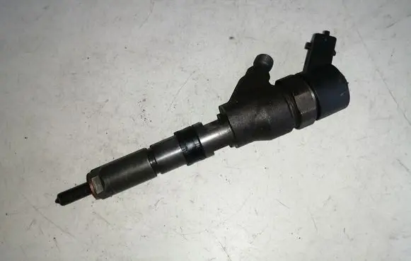 Citroen C5 Fuel injector 0445110008 9635196580