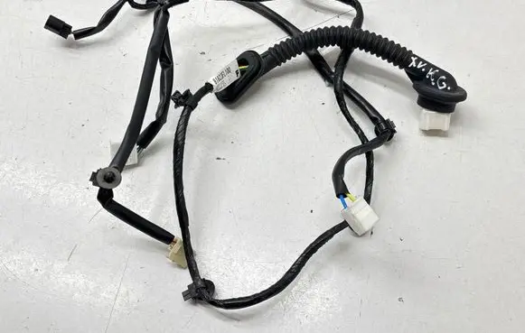 Rear door wiring loom