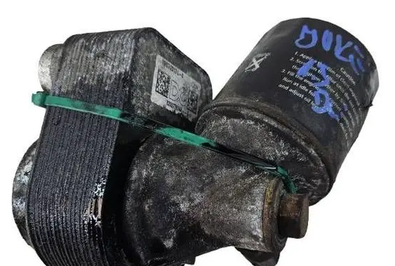Nissan Juke I F15 Engine oil radiator 8200779744
