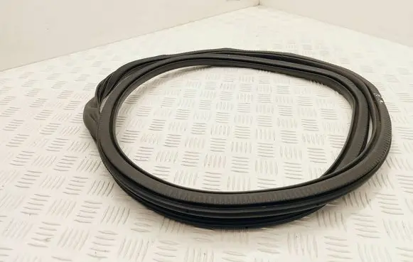DS Automobiles 4 II Front door rubber seal