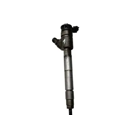 Citroen Berlingo Fuel injector 9828959880 0445110955
