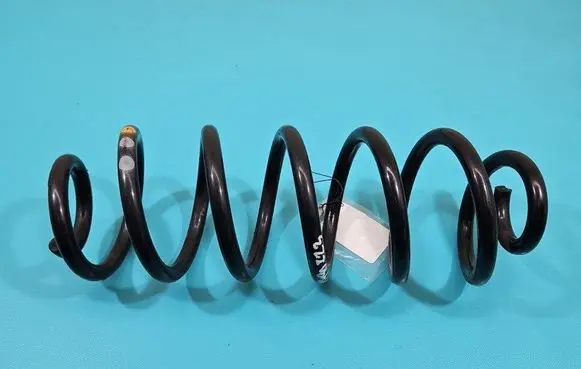 Rear coil spring