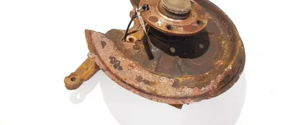 Skoda Octavia Mk2 (1Z) Rear wheel hub didzioji