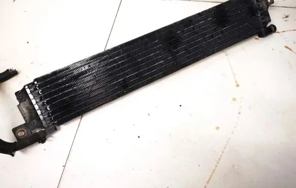 Renault Scenic I Power steering radiator 