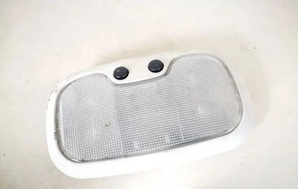 Dodge Caliber Rear seat light 5jg63trmaa