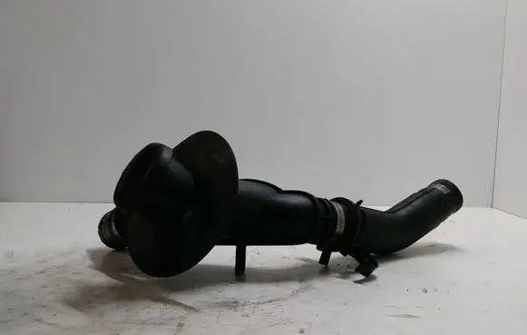Peugeot 307 Oil fill pipe 9638323780