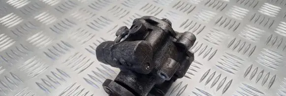 Volkswagen Golf IV Power steering pump 130422154