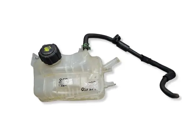 Renault Scenic III - Grand scenic III Coolant expansion tank/reservoir S26301938 217100005R