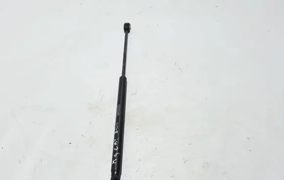 Renault Latitude (L70) Tailgate strut 904520001R