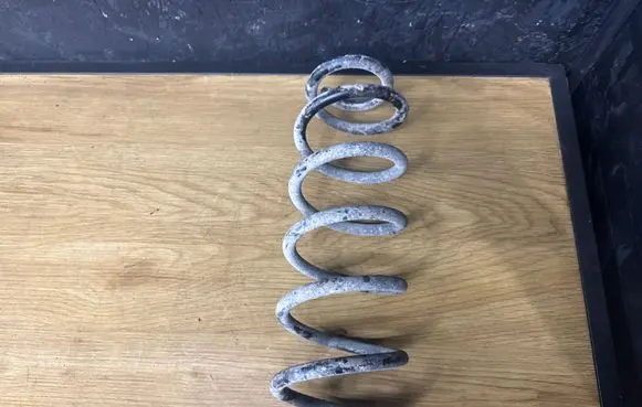 Volkswagen Golf V Rear coil spring