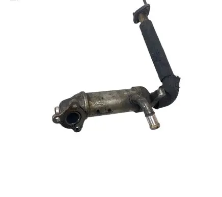 Hyundai H-1, Starex, Satellite EGR valve cooler