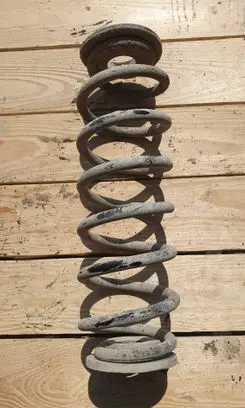 Rear coil spring