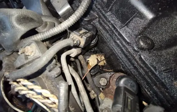 Citroen Berlingo Fuel injector