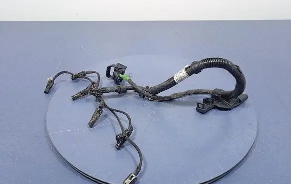 BMW X5 E53 Other wiring loom 8589985