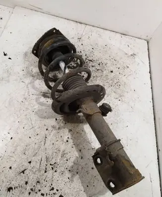 Renault Scenic III - Grand scenic III Front shock absorber with coil spring 543020017r