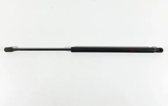 Tailgate/trunk strut/damper