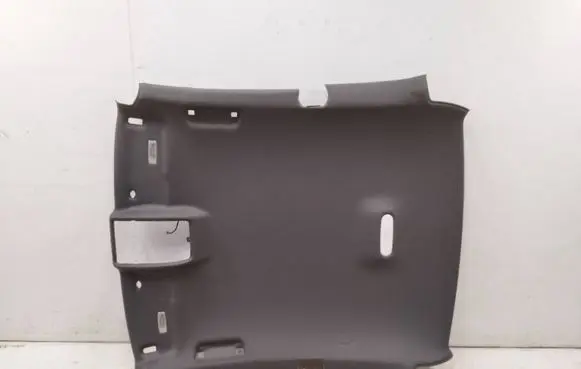 Audi A5 8T 8F Headlining 8T0867505
