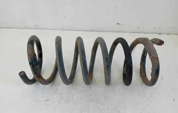Ford S-MAX Rear coil spring