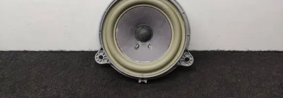 Renault Scenic IV - Grand scenic IV Rear door speaker 281445901R 3577980010 64537714