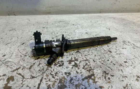 Volvo V70 Fuel injector 0445110078