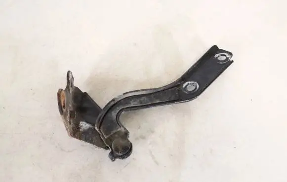Volkswagen Fox Engine bonnet/hood hinges