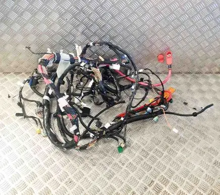 Tesla Model 3 Other wiring loom 106795500E 109209700C