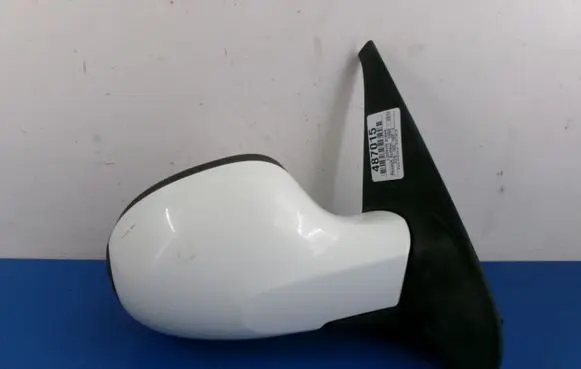 Renault Symbol II Front door electric wing mirror 8200780866