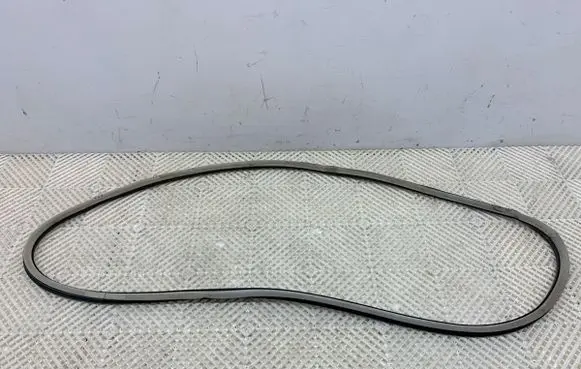 Citroen C5 Rubber seal front door (on door) 