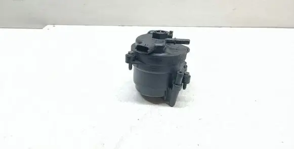 Peugeot 308 Fuel filter 