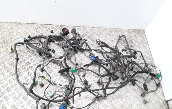 Engine installation wiring loom
