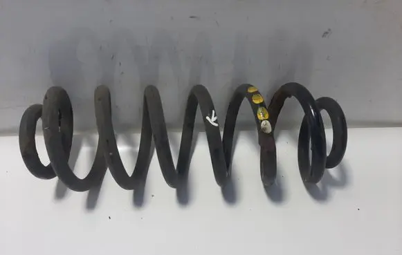 Rear coil spring