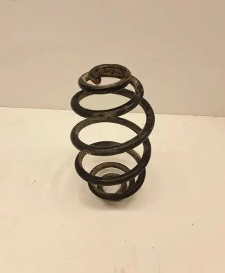 Volkswagen PASSAT B5.5 Rear coil spring