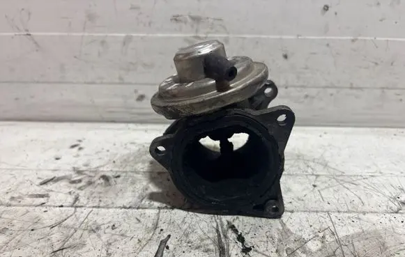 Seat Leon (1P) EGR valve 038131501AF 129696101