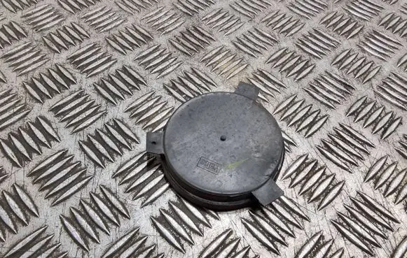 Headlight/headlamp dust cover