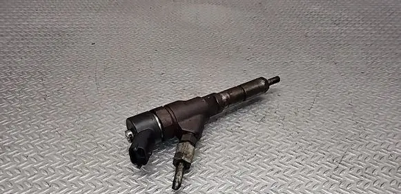 Peugeot 406 Fuel injector 0445110044 9637536080