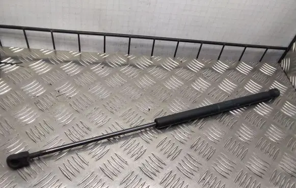 Tailgate/trunk strut/damper
