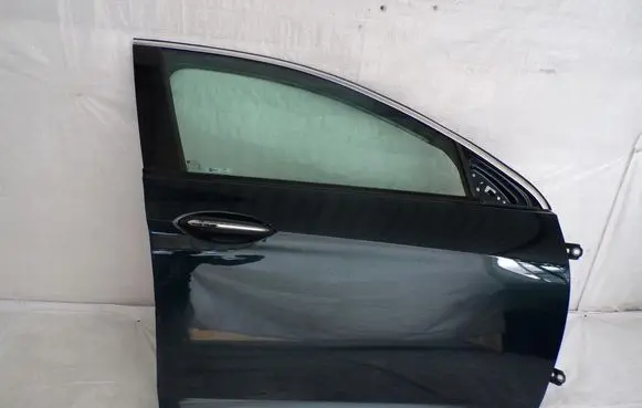 Opel Insignia B Front door