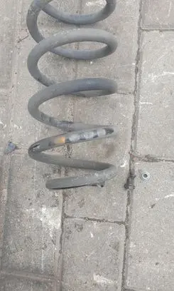 Rear coil spring