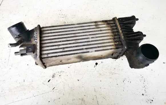 Peugeot 406 Intercooler radiator